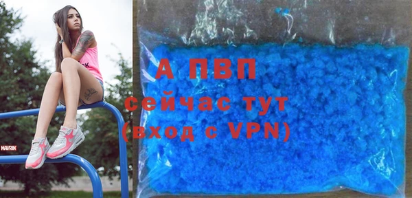 прущие грибы Семёнов