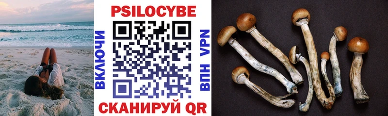 Псилоцибиновые грибы мухоморы  Купить где  Навашино 
