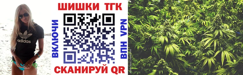Бошки Шишки семена Навашино
